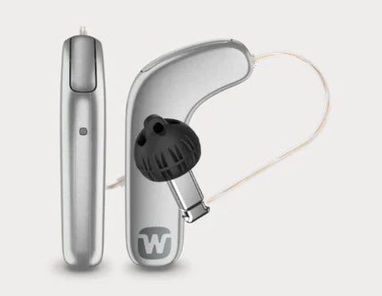 SmartRIC Silver Grey