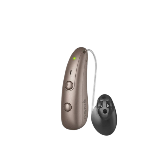 Hearing aid device