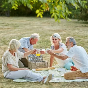 Two older couples toast during a picnic. 